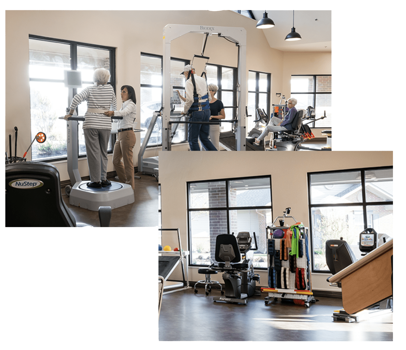 physical therapy