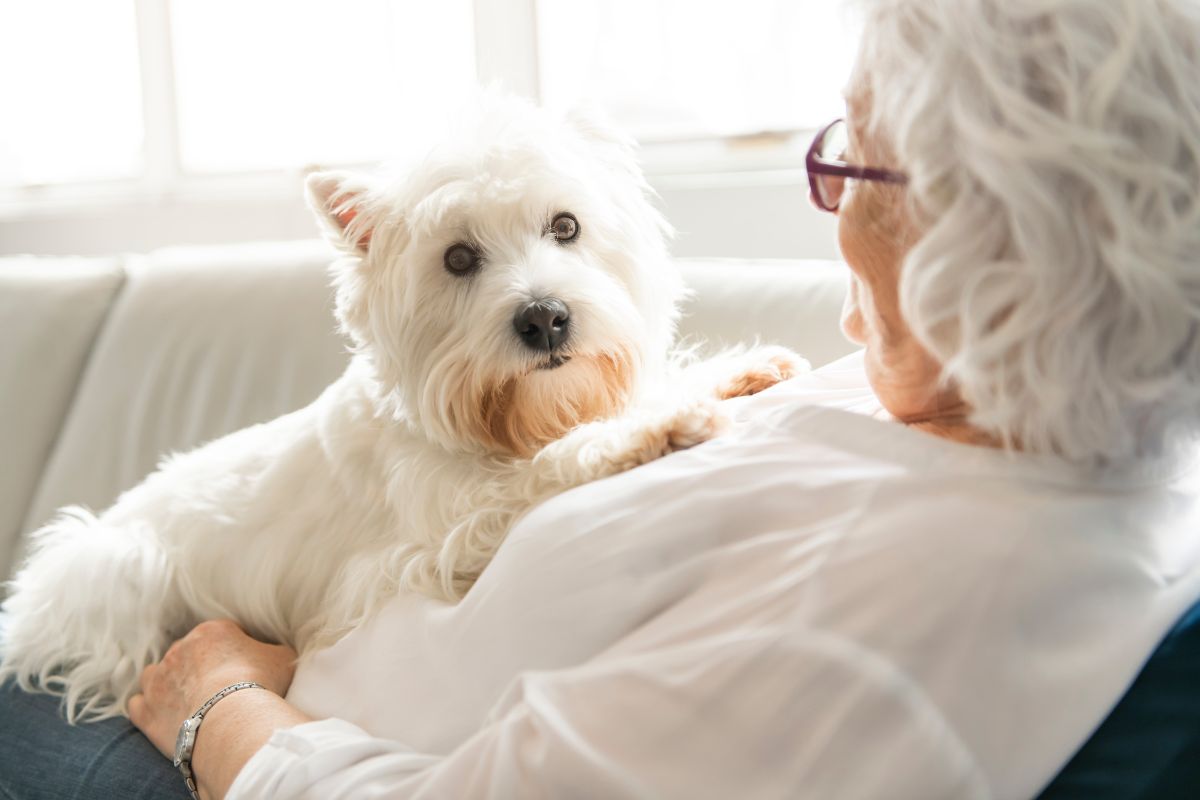 Best Pets for Independent Living